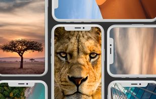 Splashy screenshot 3