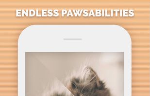 Split Pic screenshot 3