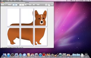 SplitPrint screenshot 1