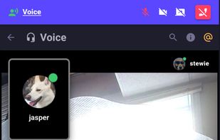 Video Call