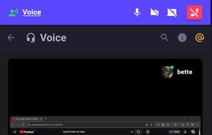 Screen Sharing