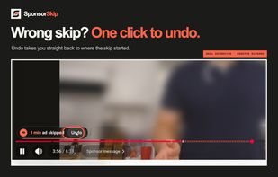One click on Undo jumps back if a skip was not wanted.
