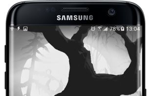 Spooky Forest Live Wallpaper screenshot 3