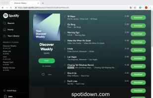 SpotiDown screenshot 1
