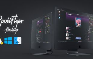 SpotiFlyer screenshot 2