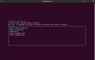 Spotify TUI screenshot 1
