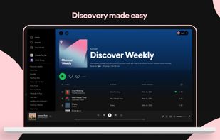 Spotify screenshot 2