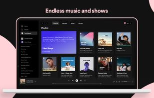 Spotify screenshot 1