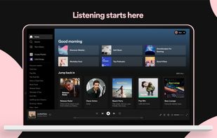 Spotify screenshot 3