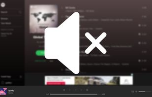 SpotiShush screenshot 1
