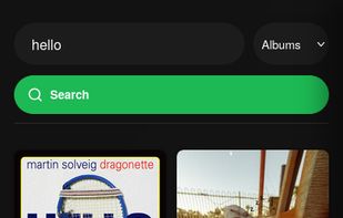 Spotizerr screenshot 3