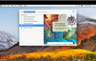 Spotlight screenshot 1