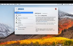 Spotlight screenshot 1