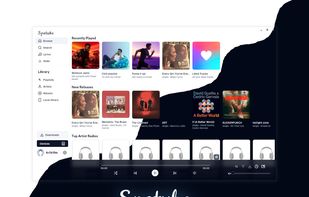 Spotube screenshot 1