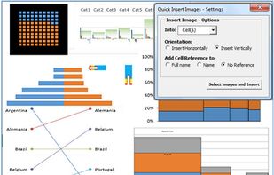 Spreadhsheet Image Tools 
 Quick Insert - assitant