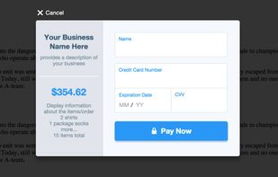 Spreedly screenshot 2