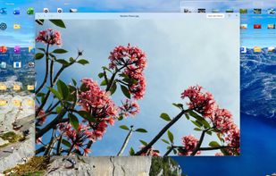 Press Space to preview a photo without opening it. The arrow keys flip through the rest.