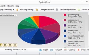 Top Websites Visited