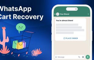 WhatsApp Cart Recovery