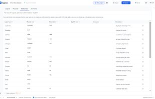 Glossary and naming rules — the source physical column names are generated from