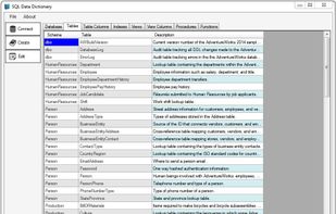 SQL Data Dictionary screenshot 1