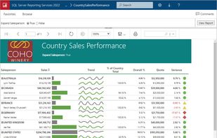 SQL Server Reporting Services screenshot 1