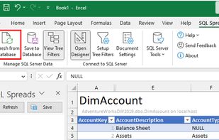 Easily make changes to the table and save back to the database. Two roles available - Designer and Data Editor (Designer settings locked down).