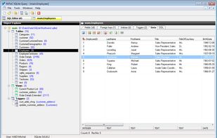 SQLite Query screenshot 2