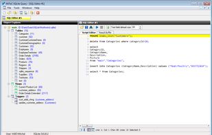 SQLite Query screenshot 1