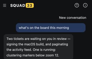 Squad33 screenshot 1