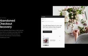 Squarespace screenshot 3