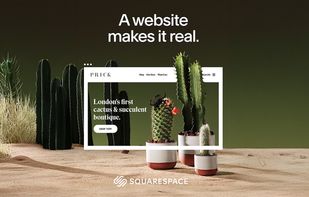 Squarespace screenshot 1