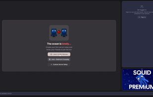 SquidServers screenshot 1