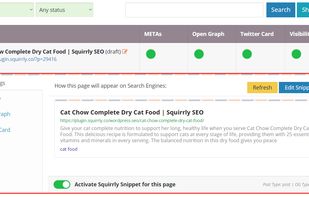 Squirrly SEO screenshot 3