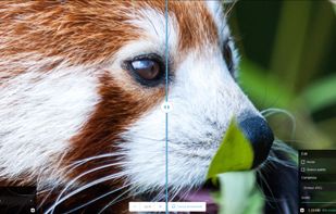 Squoosh screenshot 1