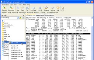 SSH Explorer screenshot 1