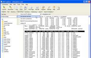 SSH Explorer screenshot 3