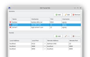 SSH Tunnel NG's main window