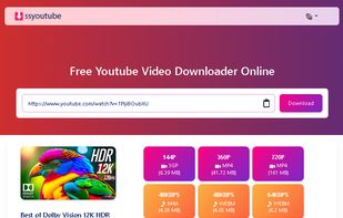[ssyoutube.ch] Youtube downloader download page web screenshot