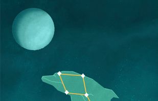 StarGazing screenshot 2