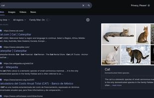 Startpage screenshot 3