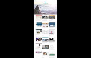 StartupWings screenshot 1