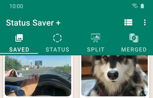 Current statuses from WhatsApp & WhatsApp Business (videos & images)