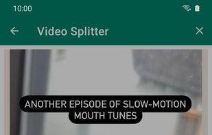 Status Saver Plus screenshot 3