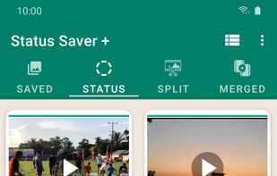Saved statuses (videos & images)