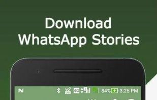 Status Stories Downloader screenshot 2