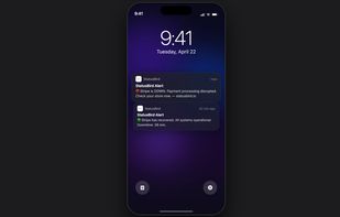 Receive instant SMS notifications each time a service goes down