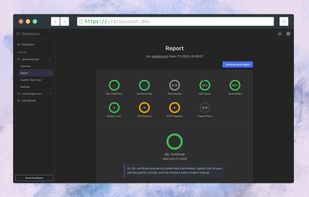 Detailed health report