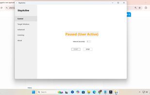 StayActive Main Dashboard with humanized activity controls.