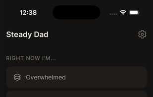 Steady Dad screenshot 1